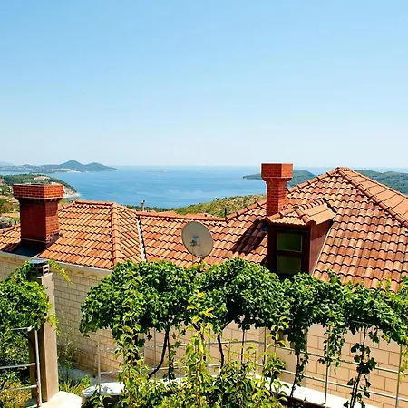 Stjepovic *